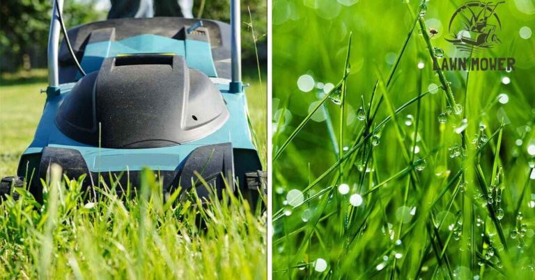 Can You Cut Wet Grass With a Lawn Mower?