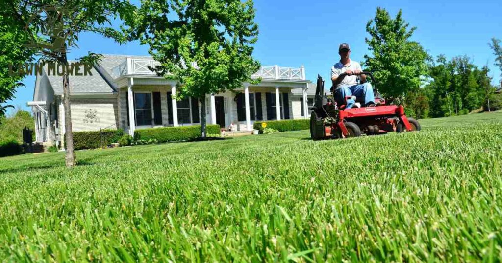 Uncovering Hidden Dangers in Lawn Care Practices