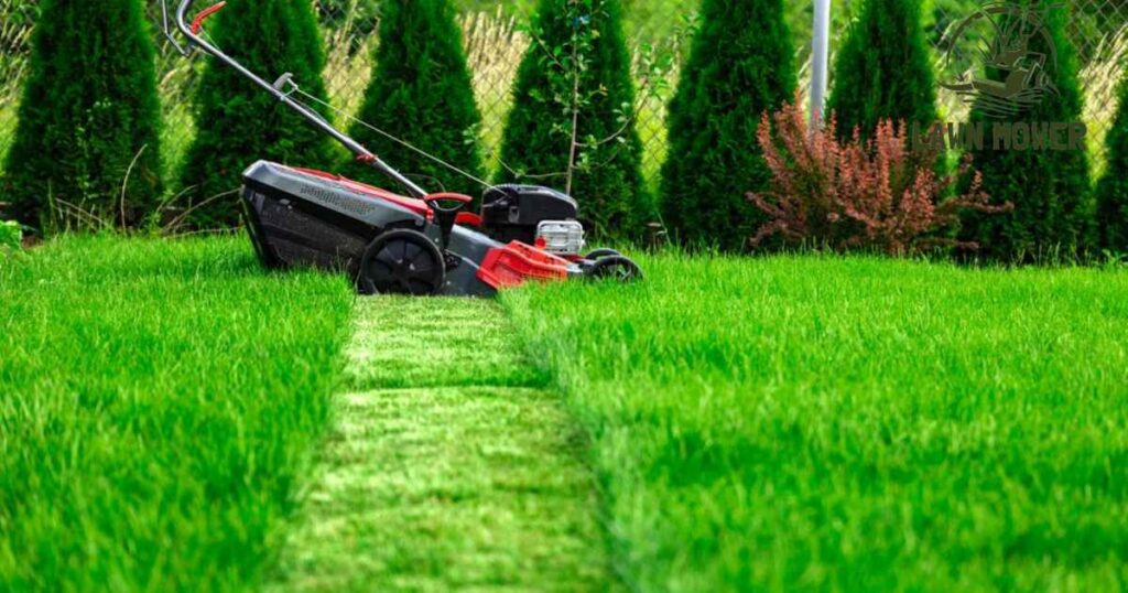 Can you cut grass when it's wet?