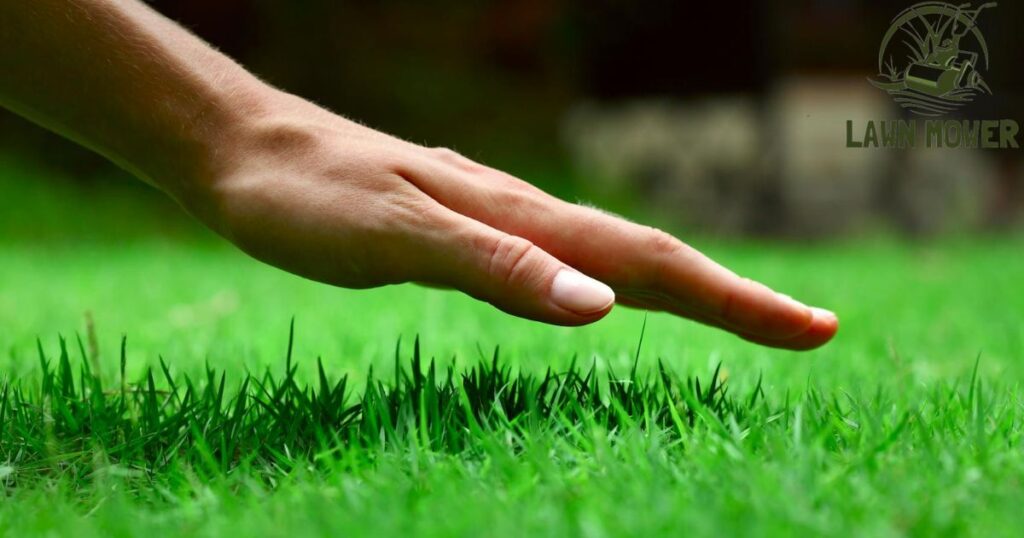 Executive Lawn Care Maintains Our Blades to Keep Your Grass Fresh