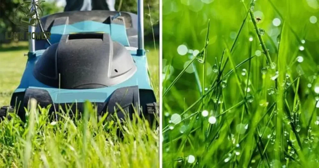 What Should I Do if My Lawnmower Gets Wet?